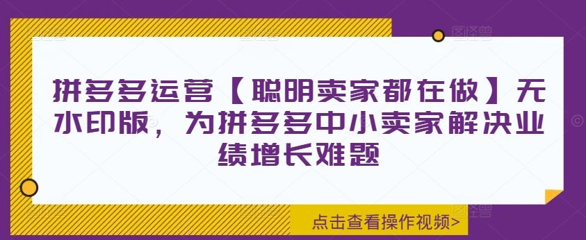 拼多多运营【聪明卖家都在做】无水印版，为拼多多中小卖家解决业绩增长难题-财富区
