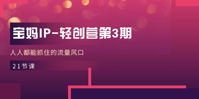 （11042期）宝妈IP-轻创营第3期，人人都能抓住的流量风口（21节课）-财富区