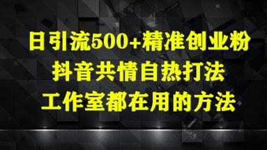 日引流500+精准创业粉，抖音共情自热打法，工作室都在用的方法-财富区