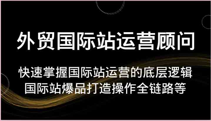 外贸国际站运营顾问-快速掌握国际站运营的底层逻辑，国际站爆品打造操作全链路等-财富区