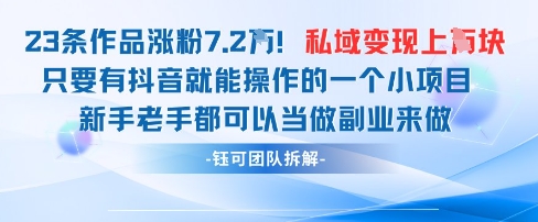 抖音私域项目23条作品涨粉7.2W，私域变现1W-财富区