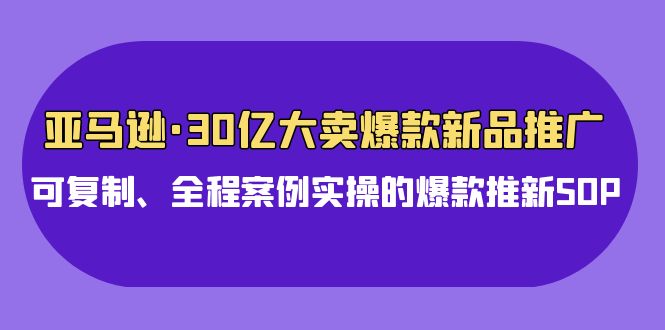 亚马逊30亿大卖爆款新品推广，可复制、全程案例实操的爆款推新SOP-财富区