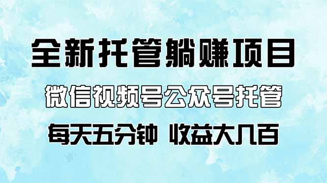 全新托管躺赚项目，微信视频号公众号托管代运营，每天五分钟，收益大几百-财富区