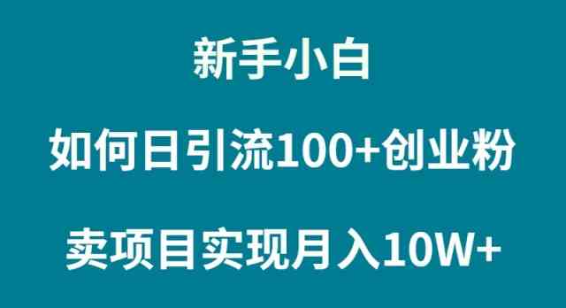 （9556期）新手小白如何通过卖项目实现月入10W+-财富区