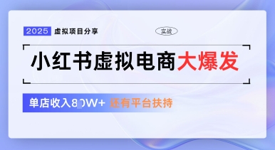 小红书虚拟电商项目，平台大力免费流量扶持，低门槛1拖3玩法-财富区