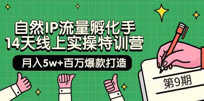 （9881期）自然IP流量孵化手 14天线上实操特训营【第9期】月入5w+百万爆款打造 (74节)-财富区