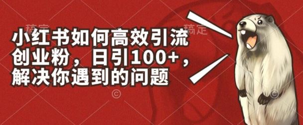 小红书如何高效引流创业粉，日引100+，解决你遇到的问题【揭秘】-财富区