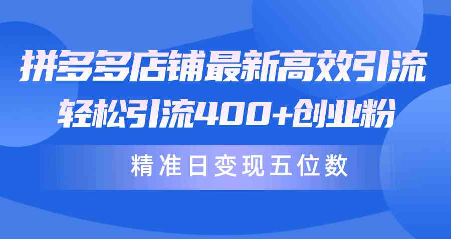 （10041期）拼多多店铺最新高效引流术，轻松引流400+创业粉，精准日变现五位数！-财富区