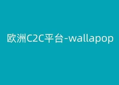 欧洲C2C平台-wallapop-kim跨境电商教程-财富区