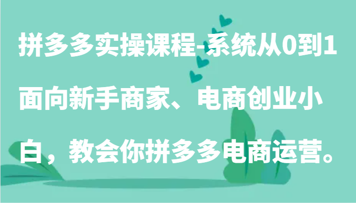 拼多多实操课程-系统从0到1，面向新手商家、电商创业小白，教会你拼多多电商运营。-财富区