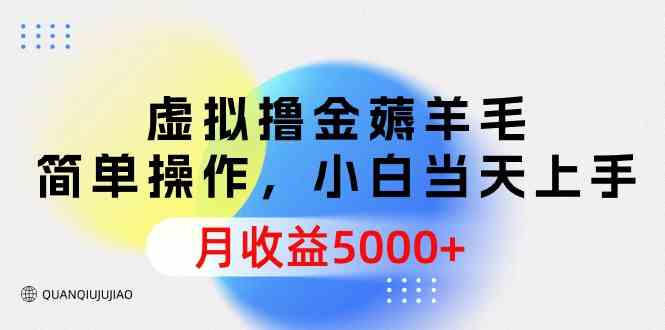（9864期）虚拟撸金薅羊毛，简单操作，小白当天上手，月收益5000+-财富区