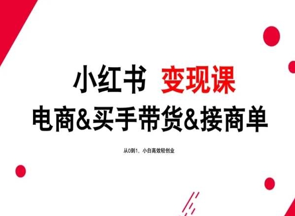 2024年最新小红书变现课，电商&买手带货&接商单，从0到1，小白高效轻创业-财富区