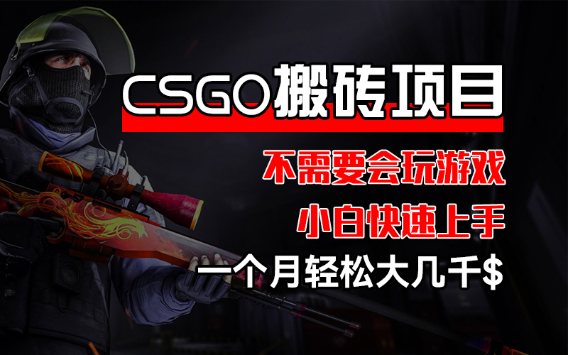 （12332期）CSGO 装备搬砖项目，操作简单，不需要会玩游戏，小白也能快速上手，一…-财富区