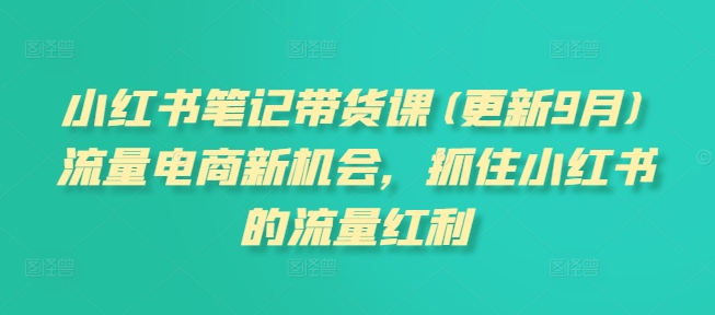 小红书笔记带货课(更新25年4月)流量电商新机会，抓住小红书的流量红利-财富区