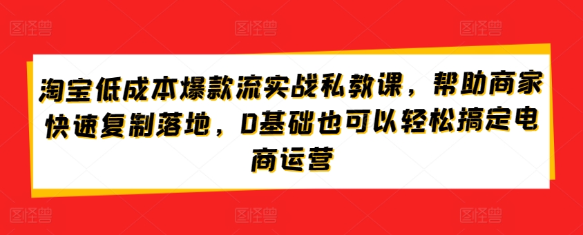 淘宝低成本爆款流实战私教课，帮助商家快速复制落地，0基础也可以轻松搞定电商运营-财富区