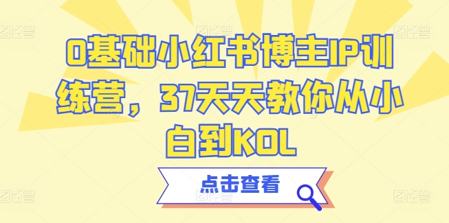 0基础小红书博主IP训练营，37天天教你从小白到KOL-财富区