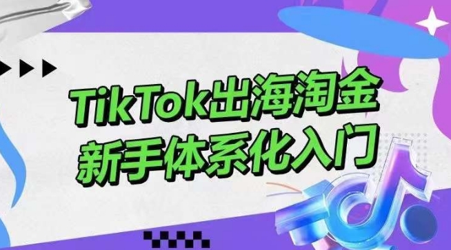 TikTok出海淘金，新手体系化入门，零基础快速入门，掌握短视频、直播带货等引流到变现的知识-财富区