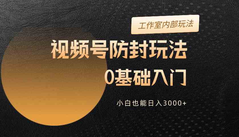 （10107期）2024视频号升级防封玩法，零基础入门，小白也能日入3000+-财富区