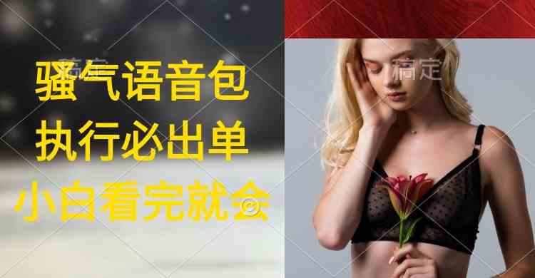 （9589期）执行就出单，日入2000+，超火骚气语音包，小白看完课程就能马上实操-财富区