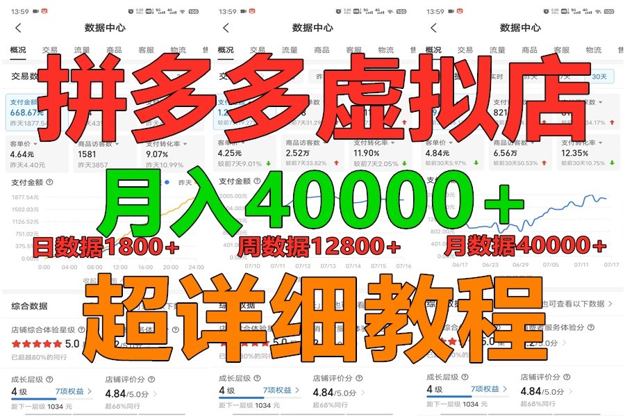 拼多多虚拟电商训练营月入40000+，全网最详细，你做你也行，暴利稳定长久-财富区