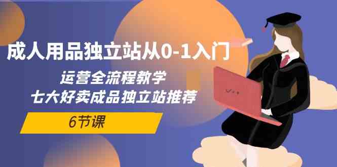 （10082期）成人用品独立站从0-1入门，运营全流程教学，七大好卖成品独立站推荐-6节课-财富区