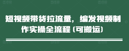 短视频带货拉流量，编发视频制作实操全流程(可搬运)-财富区