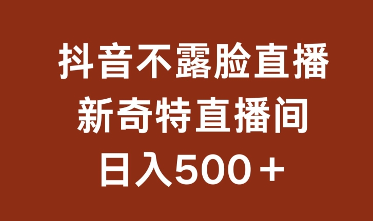 不露脸挂机直播，新奇特直播间，日入500+-财富区