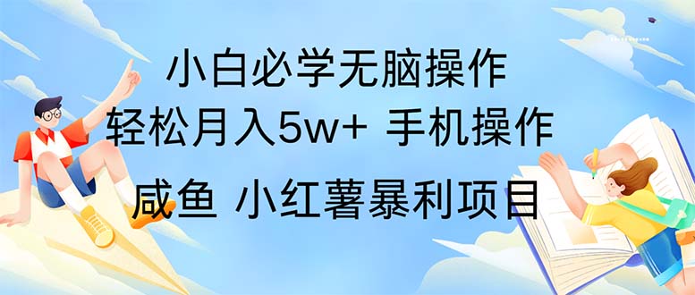 （11953期）2024热门暴利手机操作项目，简单无脑操作，每单利润最少500-财富区