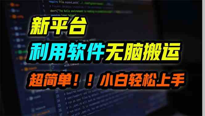 （9745期）新平台用软件无脑搬运，月赚10000+，小白也能轻松上手-财富区