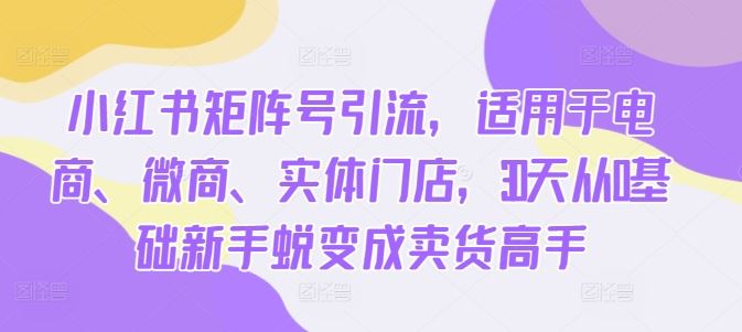小红书矩阵号引流，适用于电商、微商、实体门店，30天从0基础新手蜕变成卖货高手-财富区