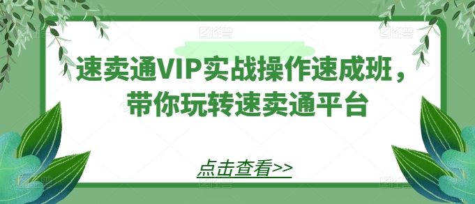 速卖通VIP实战操作速成班，带你玩转速卖通平台-财富区