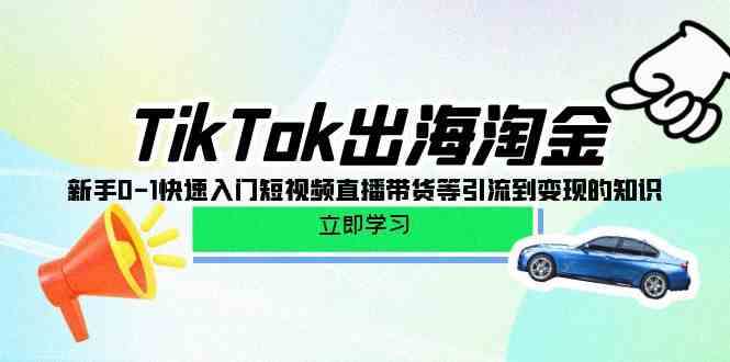 TikTok出海淘金，新手0-1快速入门短视频直播带货等引流到变现的知识-财富区