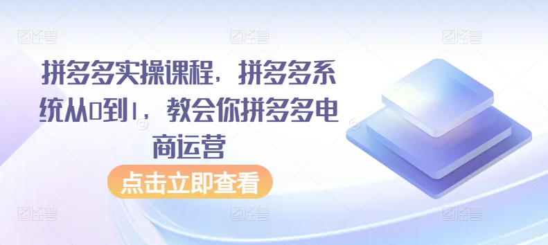 拼多多实操课程，拼多多系统从0到1，教会你拼多多电商运营-财富区