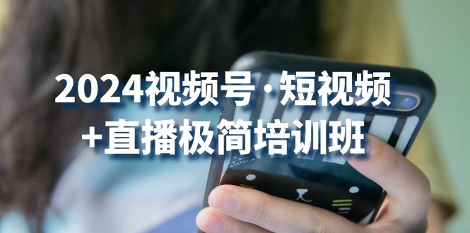 2024视频号短视频+直播极简培训班：抓住视频号风口，流量红利-财富区