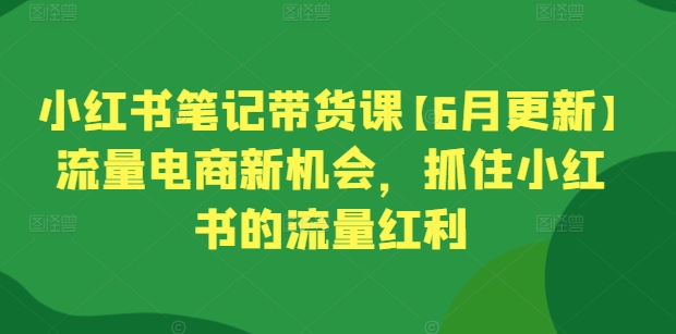 小红书笔记带货课【6月更新】流量电商新机会，抓住小红书的流量红利-财富区