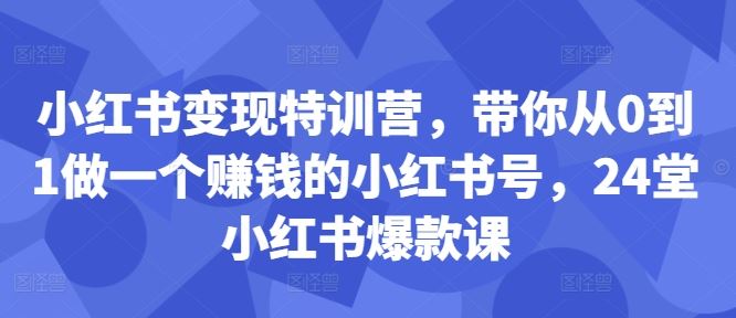 小红书变现特训营，带你从0到1做一个赚钱的小红书号，24堂小红书爆款课-财富区