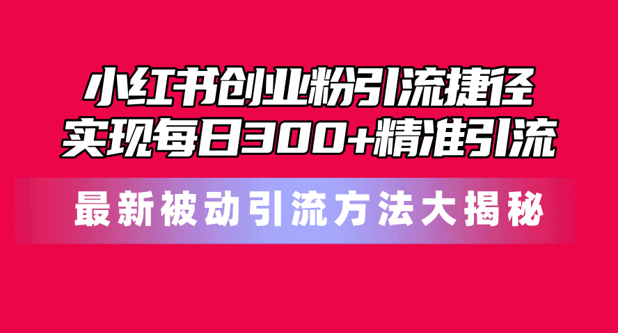 （10692期）小红书创业粉引流捷径！最新被动引流方法大揭秘，实现每日300+精准引流-财富区