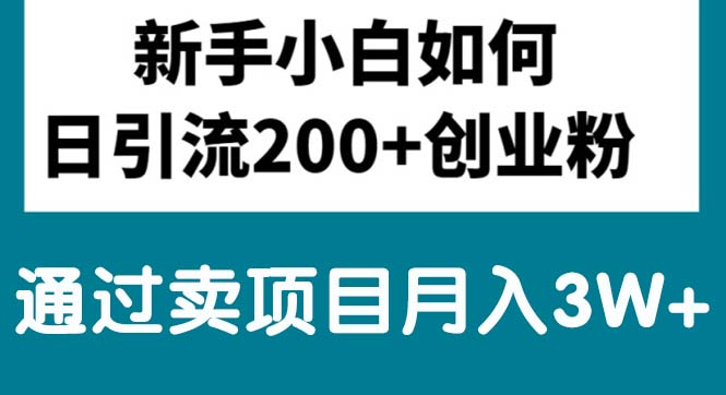 （10843期）新手小白日引流200+创业粉,通过卖项目月入3W+-财富区
