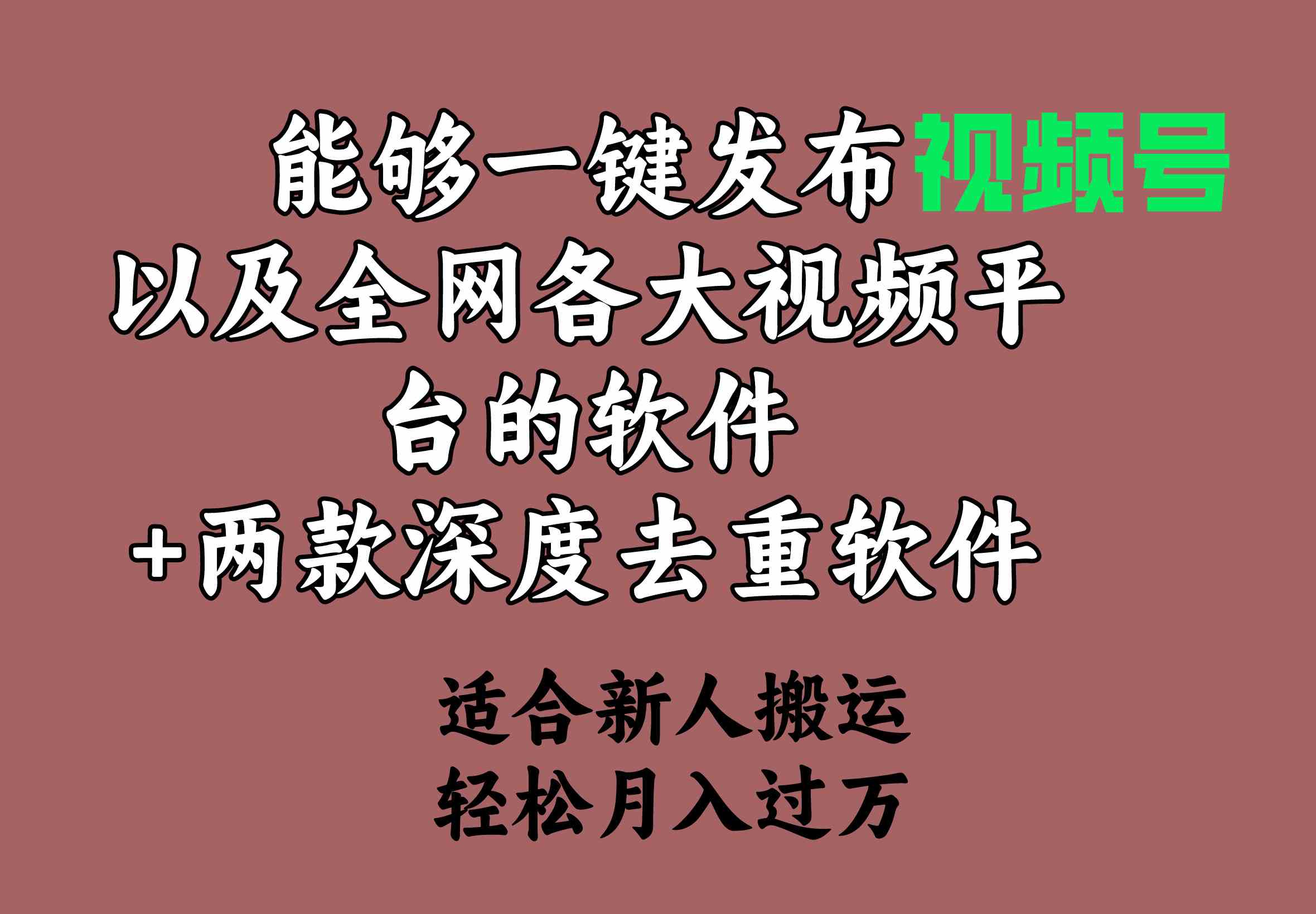 （9319期）能够一键发布视频号以及全网各大视频平台的软件+两款深度去重软件 适合…-财富区