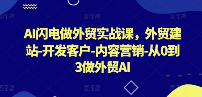 AI闪电做外贸实战课，​外贸建站-开发客户-内容营销-从0到3做外贸AI-财富区