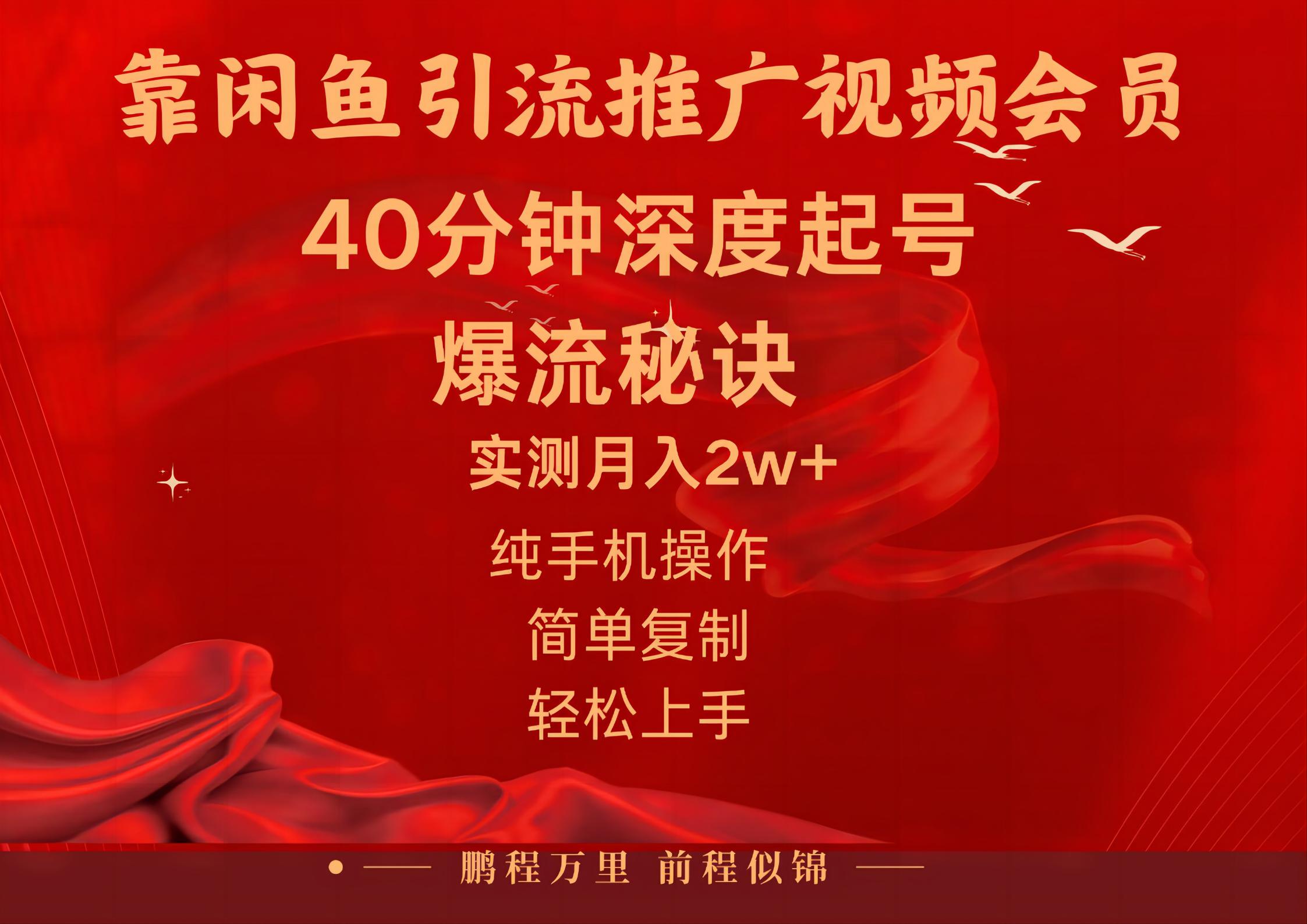 （10895期）闲鱼暴力引流推广视频会员，能做到日入2W+，操作简单-财富区