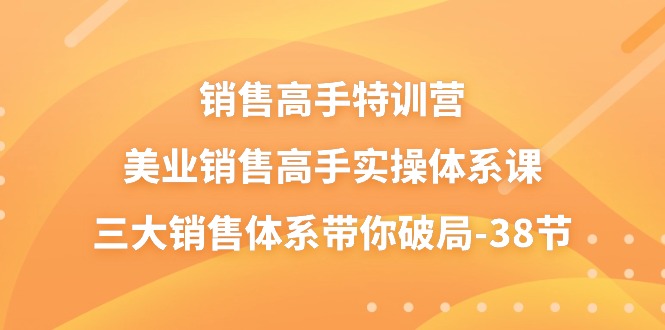 销售高手特训营，美业销售高手实操体系课，三大销售体系带你破局（38节）-财富区