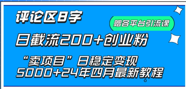 抖音评论区8字日截流200+创业粉 “卖项目”日稳定变现5000+-财富区