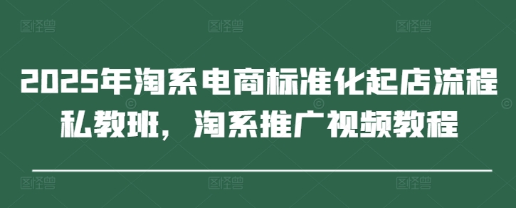 2025年淘系电商标准化起店流程私教班，淘系推广视频教程-财富区