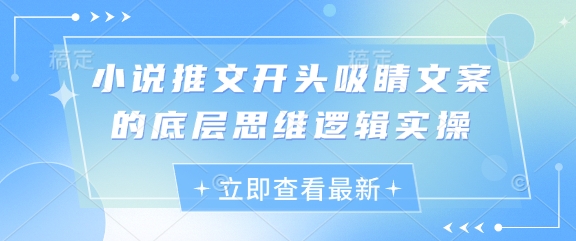 小说推文开头吸睛文案的底层思维逻辑实操-财富区