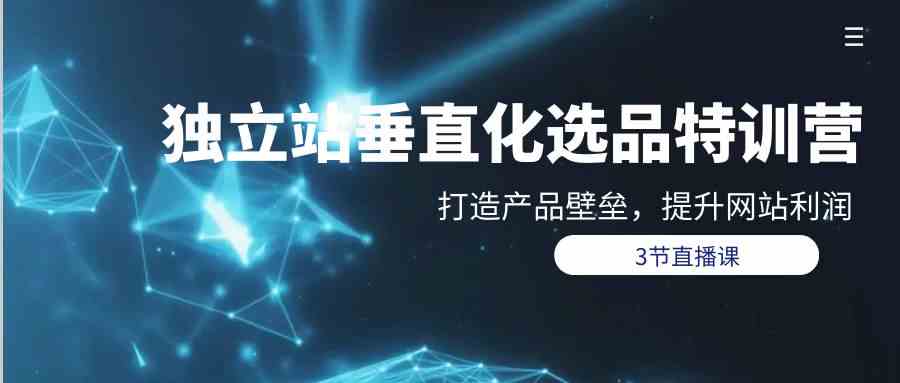 独立站垂直化选品训练营，打造产品壁垒，提升网站利润（3节直播课）-财富区
