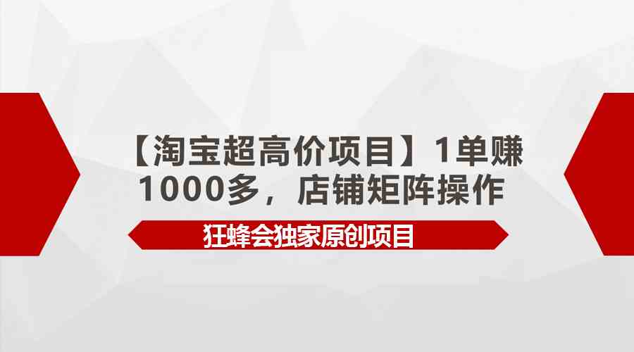 （9849期）【淘宝超高价项目】1单赚1000多，店铺矩阵操作-财富区