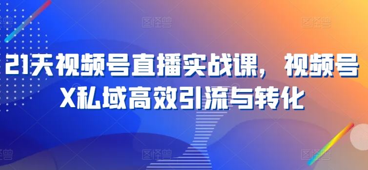21天视频号直播实战课，视频号X私域高效引流与转化-财富区