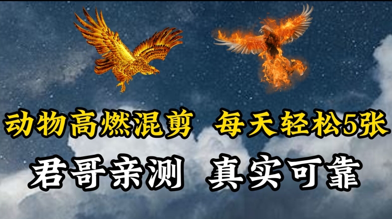 动物超燃混剪，每天轻松5张，剪辑简单大家爱看-财富区