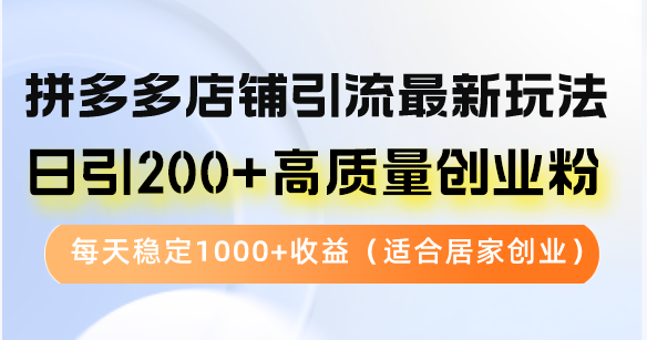 （12893期）拼多多店铺引流最新玩法，日引200+高质量创业粉，每天稳定1000+收益（…-财富区